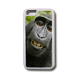 iPhone 6 Brookley Phone Case - JT Photo Service