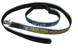 72” Pet Leash