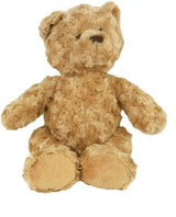 Teddy Bears & Accessories - JT Photo Service